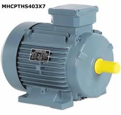 Havells Induction Motors